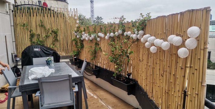 Ecologie: clôture de bambou